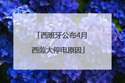 西班牙公布4月西葡大停电原因