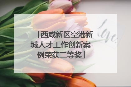 西咸新区空港新城人才工作创新案例荣获二等奖