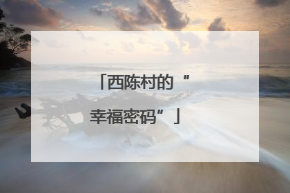 西陈村的“幸福密码”