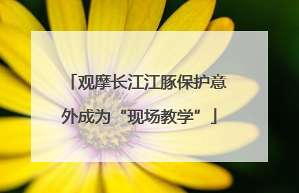 观摩长江江豚保护意外成为“现场教学”