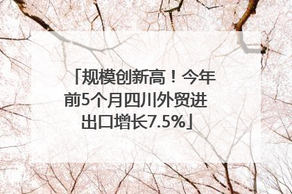 规模创新高！今年前5个月四川外贸进出口增长7.5%