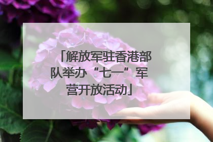 解放军驻香港部队举办“七一”军营开放活动