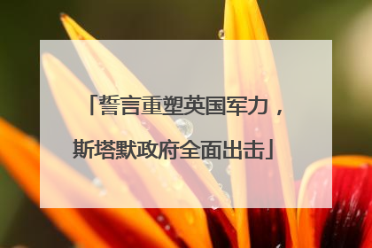 誓言重塑英国军力，斯塔默政府全面出击