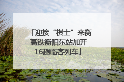 迎接“棋士”来衡 高铁衡阳东站加开16趟临客列车