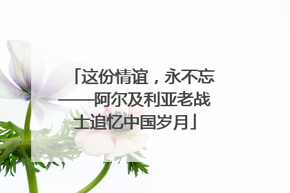 这份情谊，永不忘——阿尔及利亚老战士追忆中国岁月