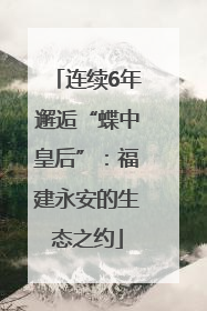 连续6年邂逅“蝶中皇后”：福建永安的生态之约