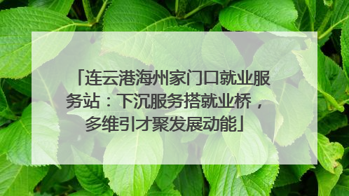 连云港海州家门口就业服务站：下沉服务搭就业桥，多维引才聚发展动能
