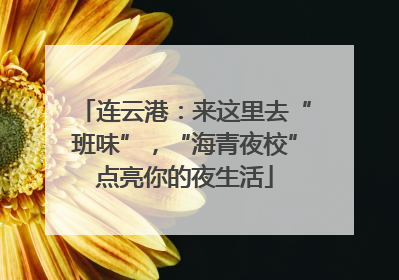 连云港：来这里去“班味”，“海青夜校”点亮你的夜生活