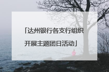 达州银行各支行组织开展主题团日活动