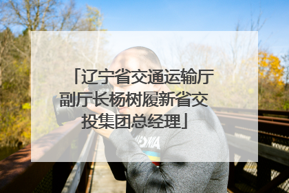 辽宁省交通运输厅副厅长杨树履新省交投集团总经理