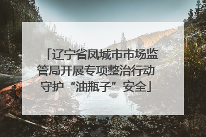 辽宁省凤城市市场监管局开展专项整治行动守护“油瓶子”安全
