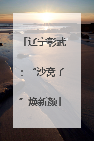 辽宁彰武：“沙窝子”焕新颜