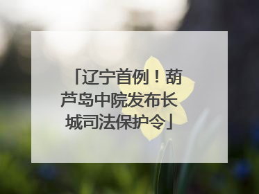 辽宁首例！葫芦岛中院发布长城司法保护令