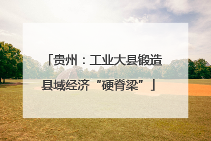 贵州：工业大县锻造县域经济“硬脊梁”