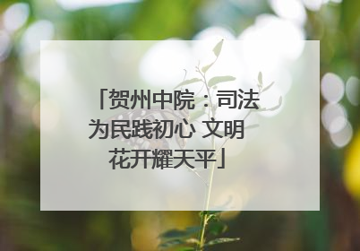 贺州中院：司法为民践初心 文明花开耀天平