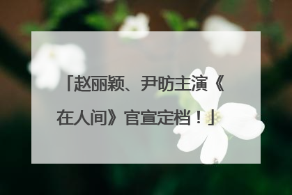 赵丽颖、尹昉主演《在人间》官宣定档！