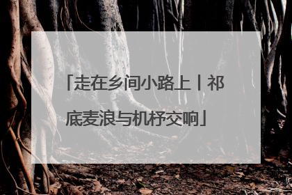 走在乡间小路上丨祁底麦浪与机杼交响