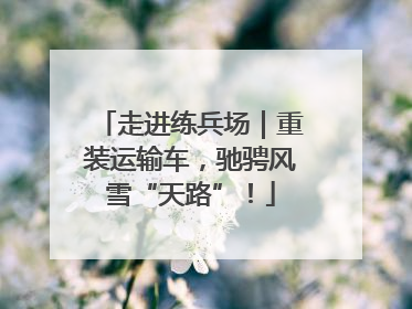 走进练兵场｜重装运输车，驰骋风雪“天路”！
