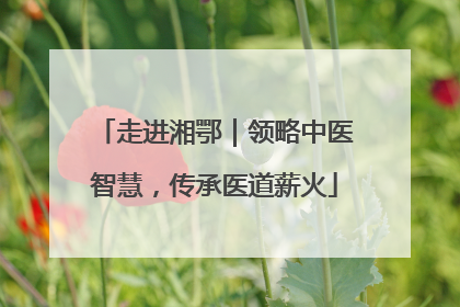 走进湘鄂｜领略中医智慧，传承医道薪火