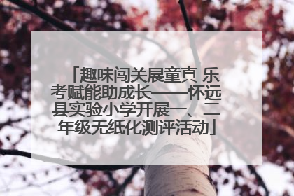 趣味闯关展童真 乐考赋能助成长——怀远县实验小学开展一、二年级无纸化测评活动