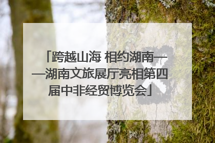 跨越山海 相约湖南——湖南文旅展厅亮相第四届中非经贸博览会