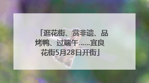 逛花街、赏非遗、品烤鸭、过端午……宜良花街5月28日开街