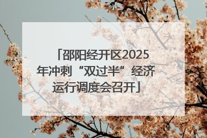 邵阳经开区2025年冲刺“双过半”经济运行调度会召开