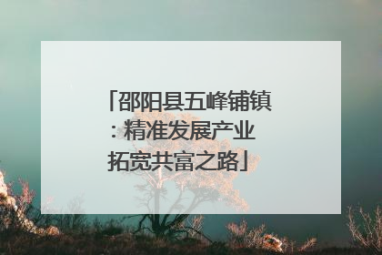 邵阳县五峰铺镇：精准发展产业 拓宽共富之路