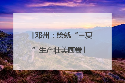 邓州：绘就“三夏”生产壮美画卷