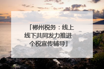 郴州税务：线上线下共同发力推进个税宣传辅导