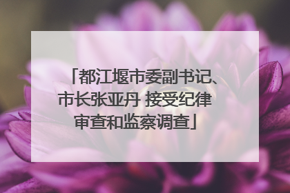 都江堰市委副书记、市长张亚丹 接受纪律审查和监察调查
