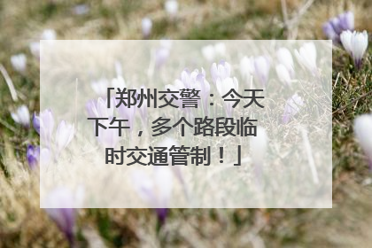 郑州交警：今天下午，多个路段临时交通管制！