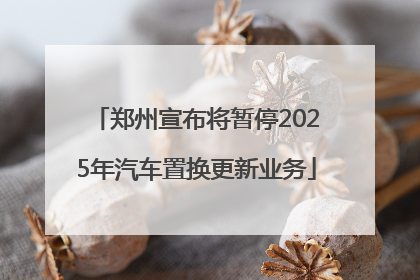 郑州宣布将暂停2025年汽车置换更新业务