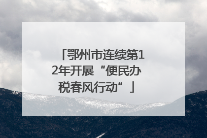 鄂州市连续第12年开展“便民办税春风行动”