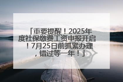 重要提醒！2025年度社保缴费工资申报开启！7月25日前抓紧办理，错过等一年！