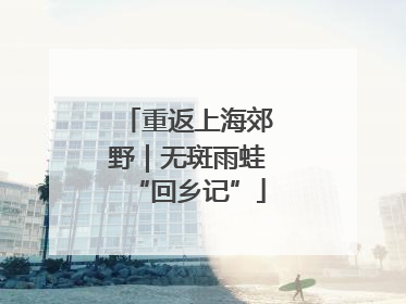 重返上海郊野｜无斑雨蛙“回乡记”