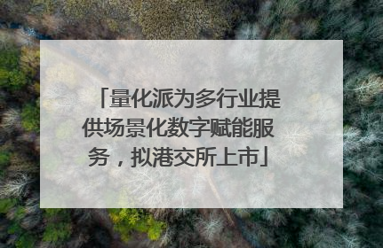 量化派为多行业提供场景化数字赋能服务，拟港交所上市