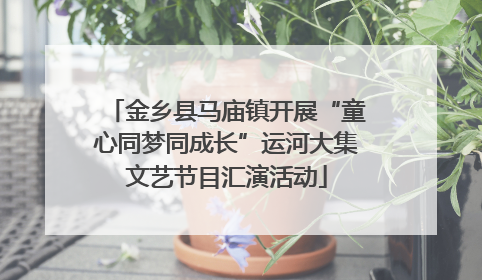 金乡县马庙镇开展“童心同梦同成长”运河大集文艺节目汇演活动