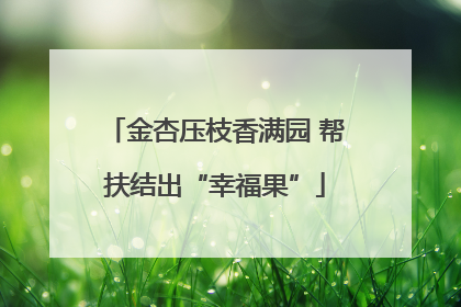 金杏压枝香满园 帮扶结出“幸福果”