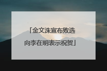 金文洙宣布败选 向李在明表示祝贺