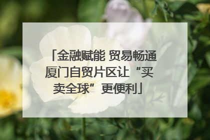 金融赋能 贸易畅通 厦门自贸片区让“买卖全球”更便利