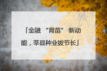 金融 “育苗” 新动能，莘县种业拔节长