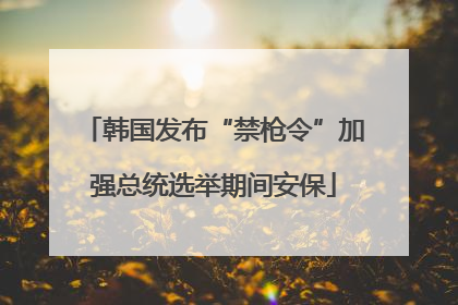 韩国发布“禁枪令”加强总统选举期间安保