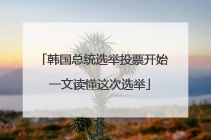韩国总统选举投票开始 一文读懂这次选举