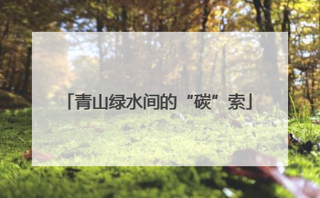 青山绿水间的“碳”索