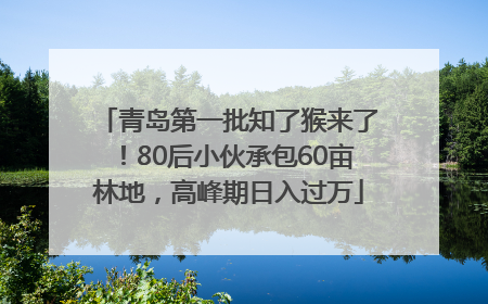 青岛第一批知了猴来了！80后小伙承包60亩林地，高峰期日入过万