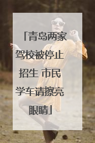 青岛两家驾校被停止招生 市民学车请擦亮眼睛