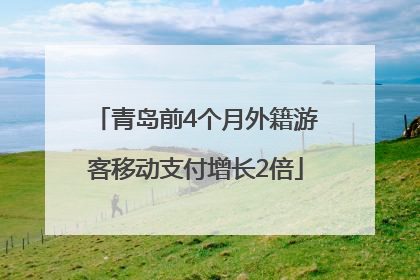 青岛前4个月外籍游客移动支付增长2倍