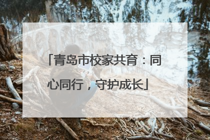 青岛市校家共育：同心同行，守护成长