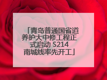 青岛普通国省道养护大中修工程正式启动 S214南城线率先开工